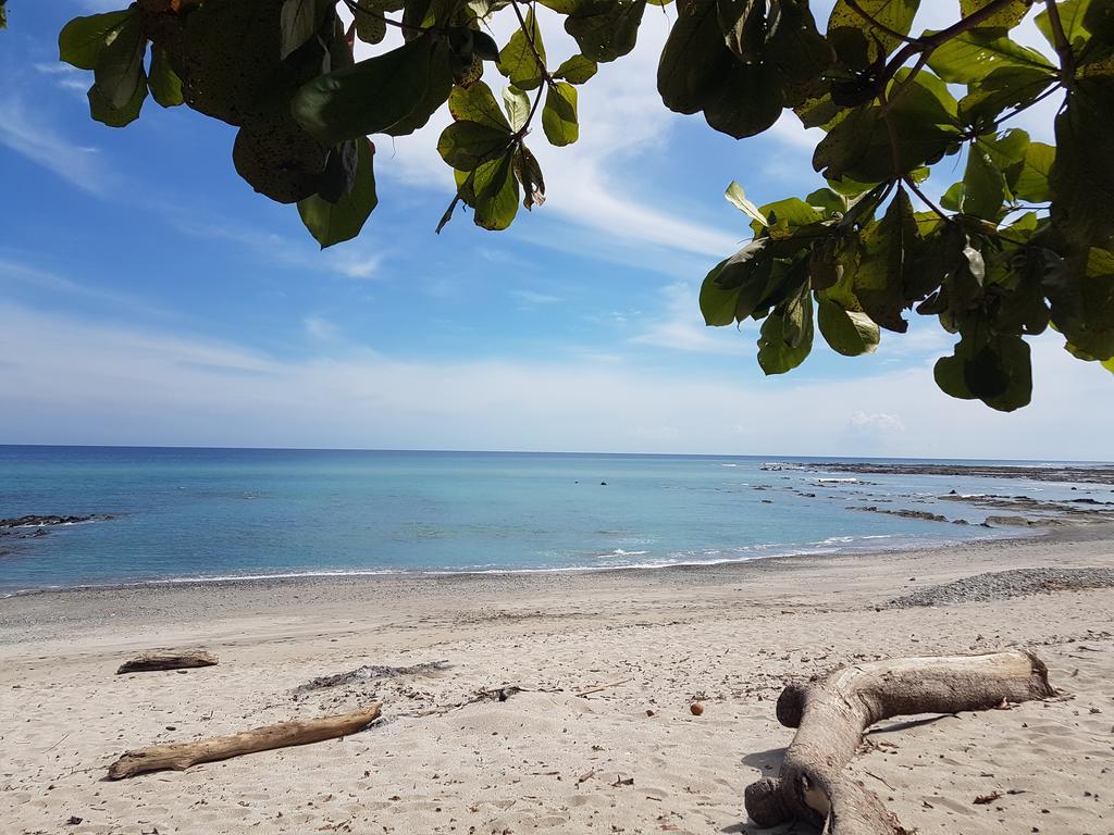 Pura Vida House Cabo Blanco Villa Nicoya Ngoại thất bức ảnh
